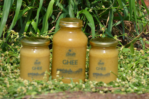 buffalo-ghee