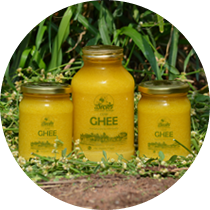 Cow Ghee