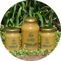 Buffalo Ghee